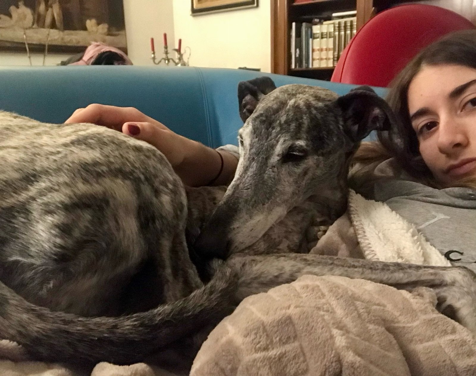 Isotta, pet sitter in Amsterdam, photo 3