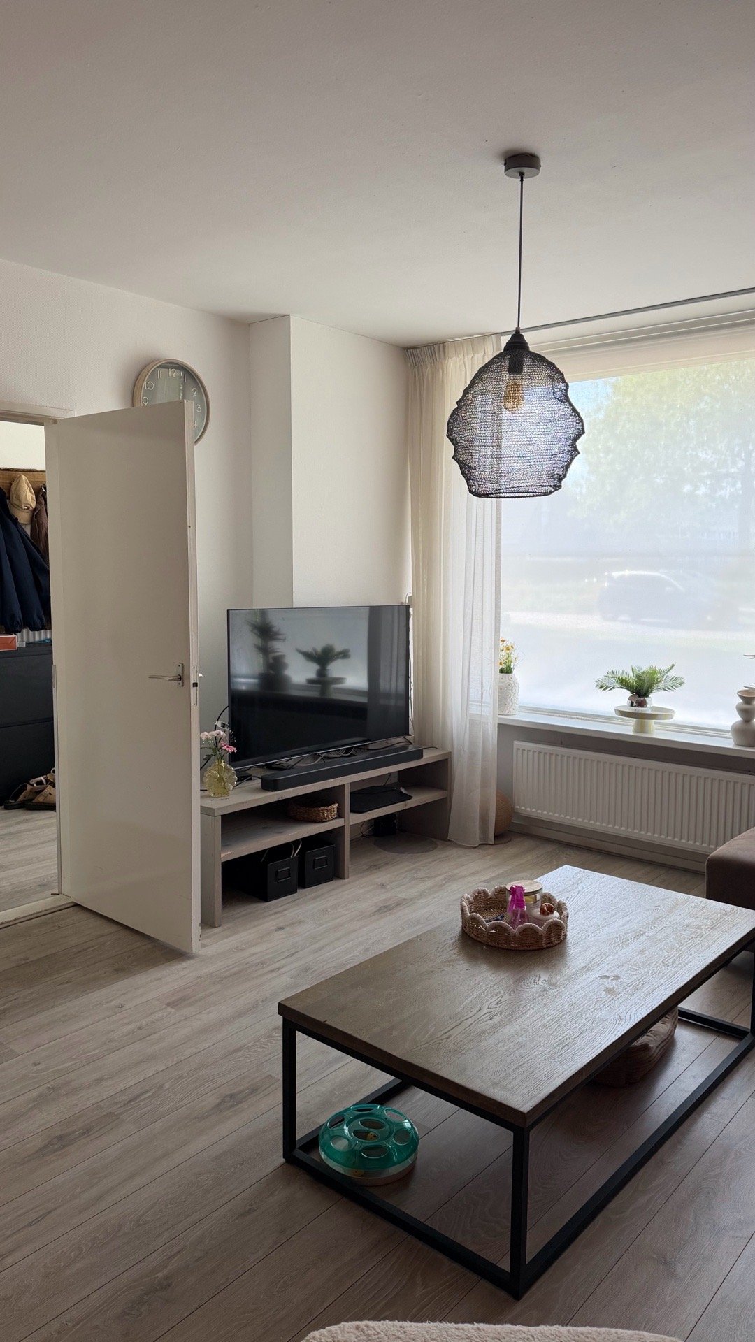 Tjitske Silke, pet sitter in dokkum, photo 2