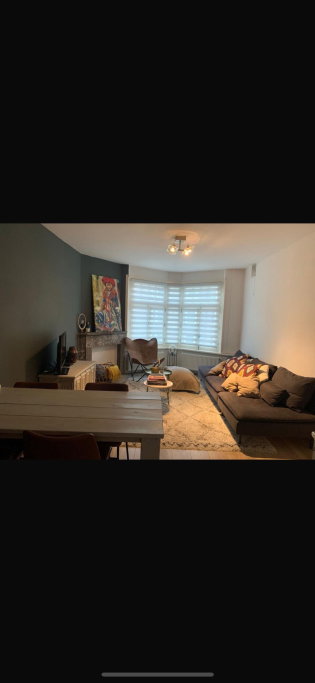 Paul, pet sitter in Amsterdam, photo 1
