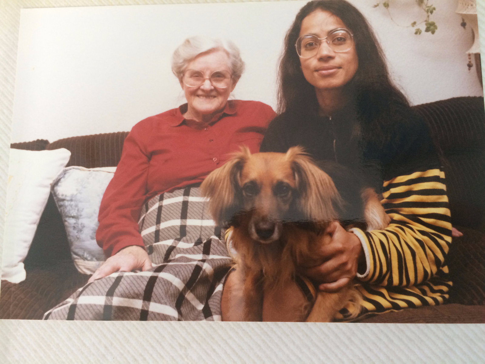 Johannes, pet sitter in Amstelveen, photo 1