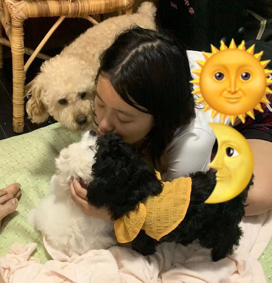xuanxuan, pet sitter in 's-Gravenhage, photo 5