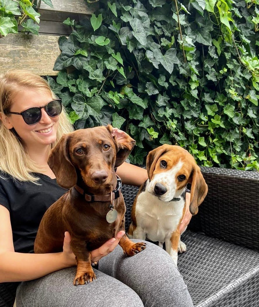Neja, pet sitter in Amstelveen, photo 2