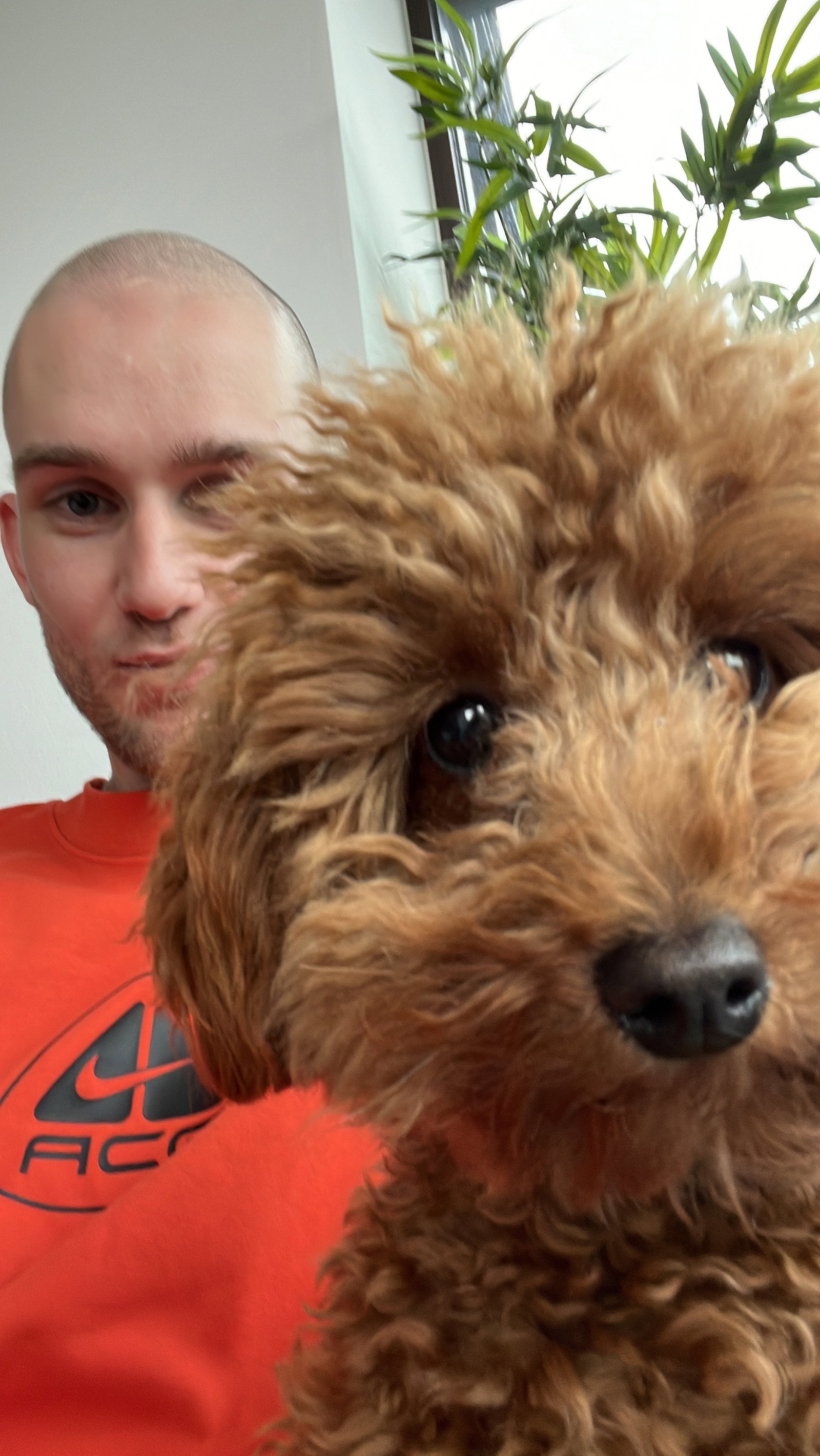 Rogier, pet sitter in 's-Gravenhage, photo 2