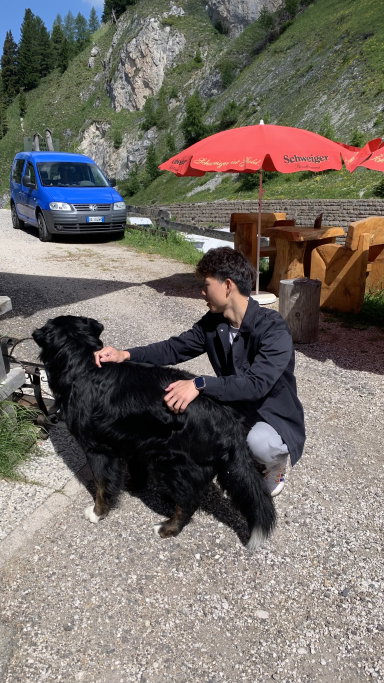 zining, pet sitter in Amsterdam, photo 4
