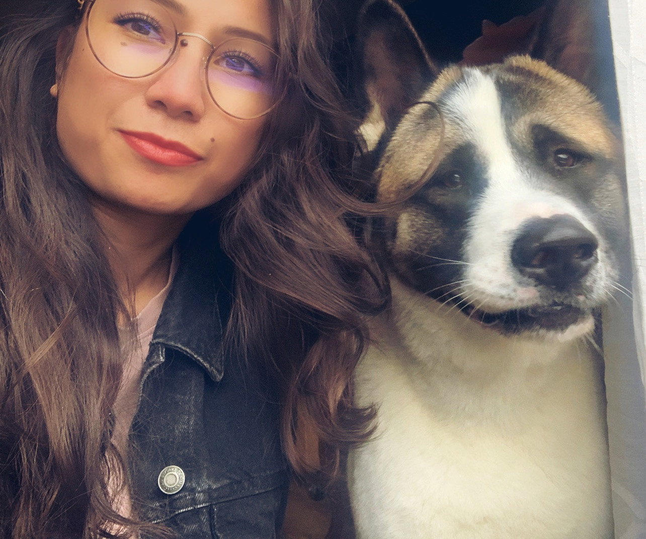 Demilya, pet sitter in Silvolde, photo 1