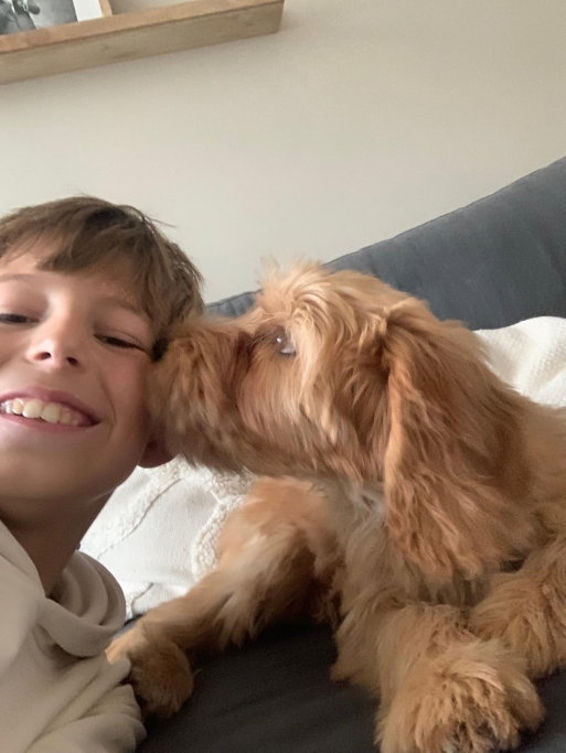 Kelly, pet sitter in Kortenhoef, photo 2