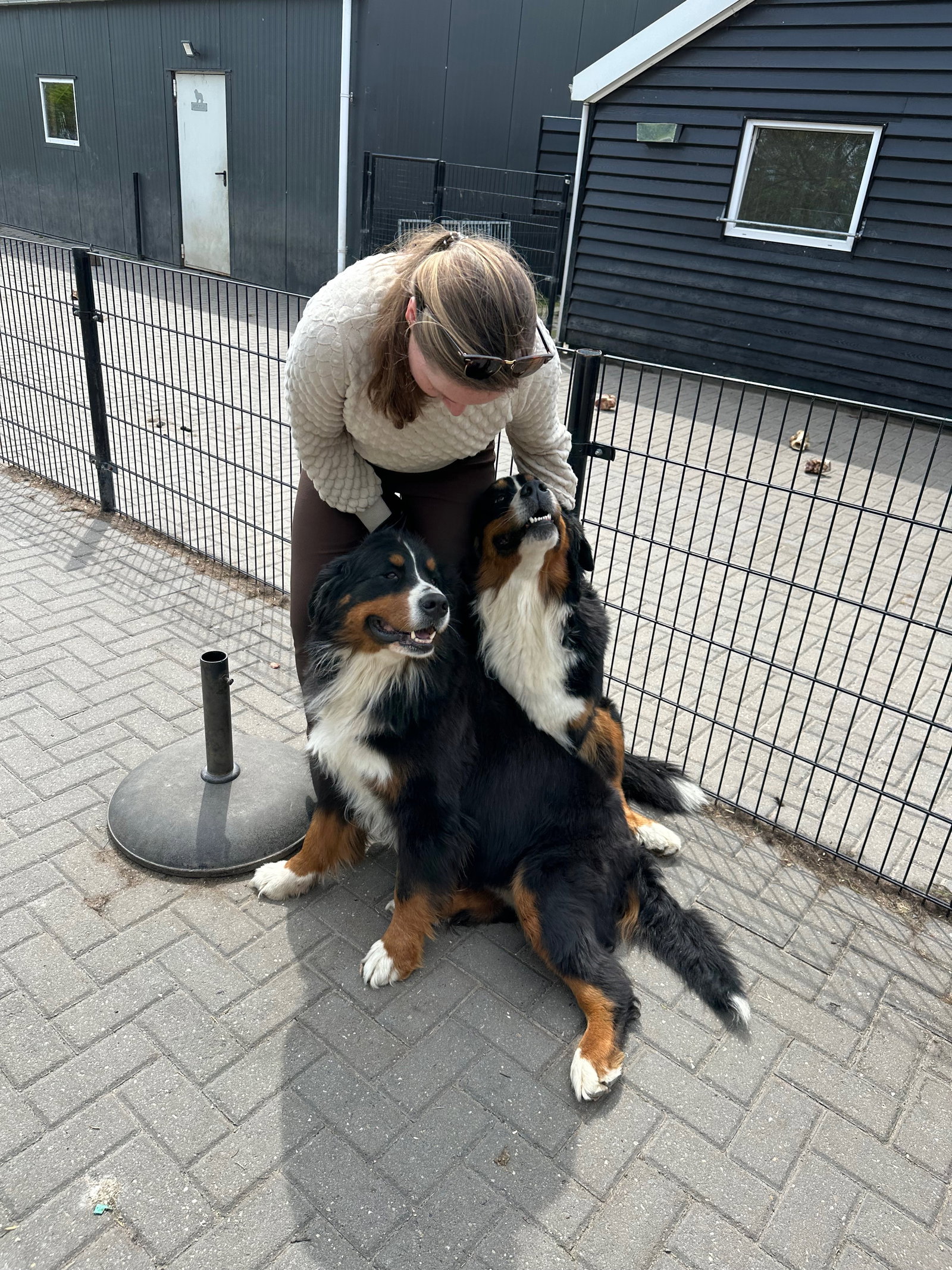 Emily, pet sitter in 's-Gravenhage, photo 1