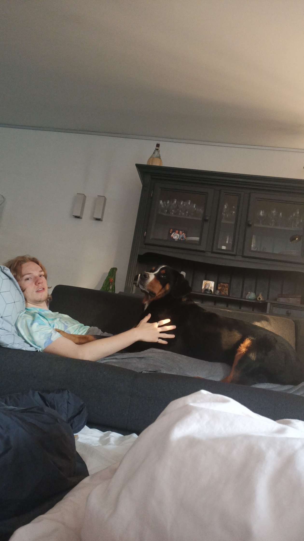 Tigo, pet sitter in Weert, photo 3