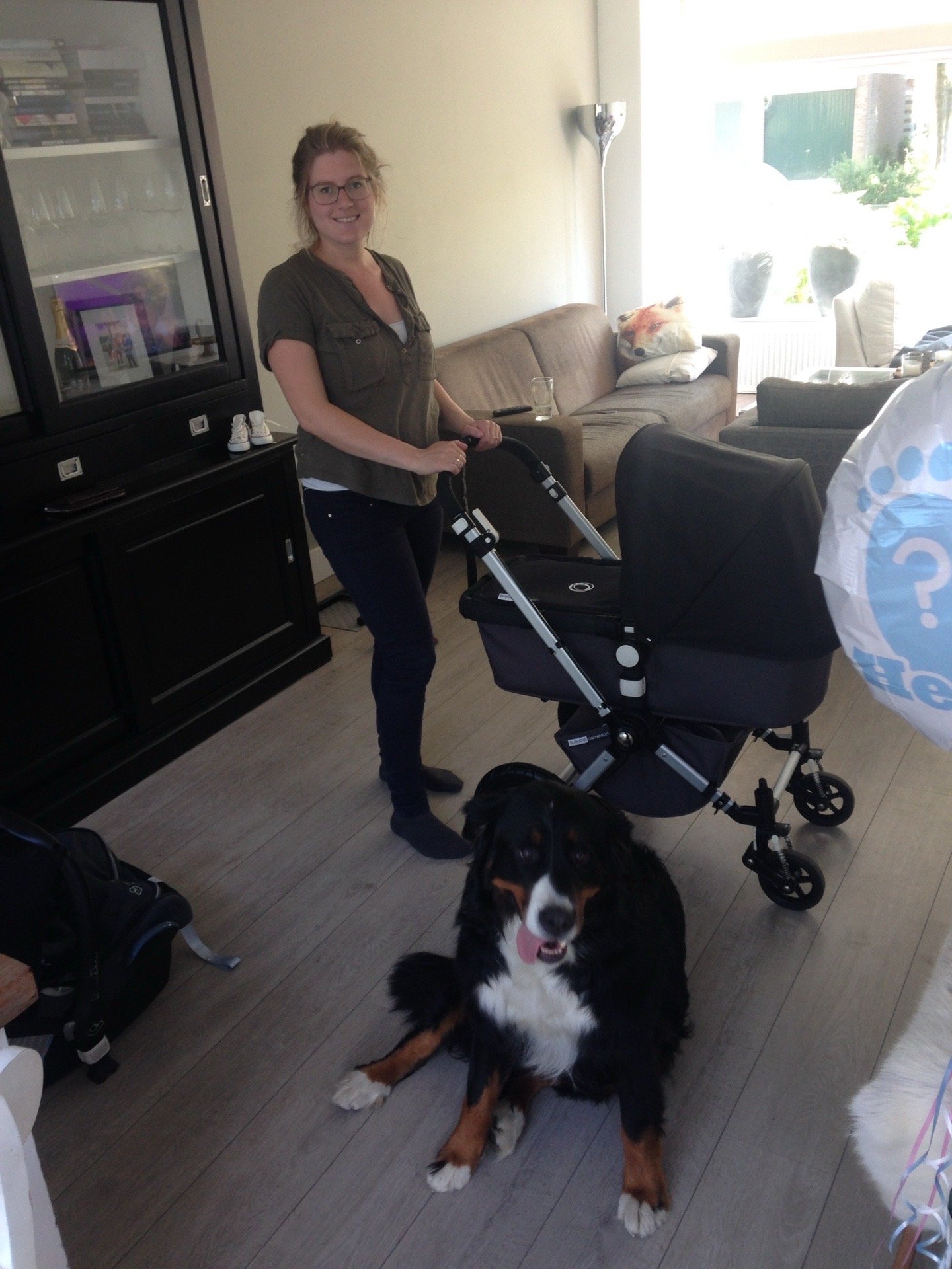 Maury, pet sitter in Eemnes, photo 3