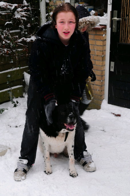 Quinten, pet sitter in Voorburg, photo 1