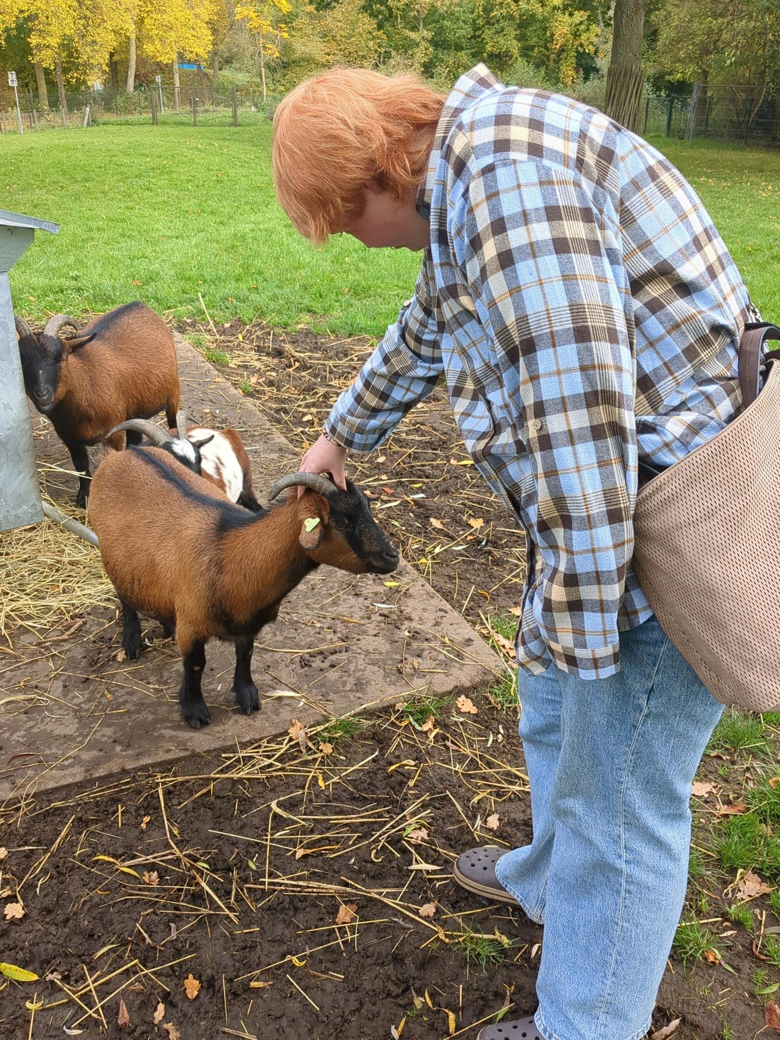 Sverre, pet sitter in Goes, photo 5