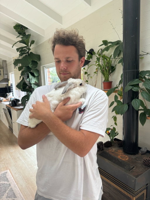 Paul, pet sitter in Amsterdam, photo 1