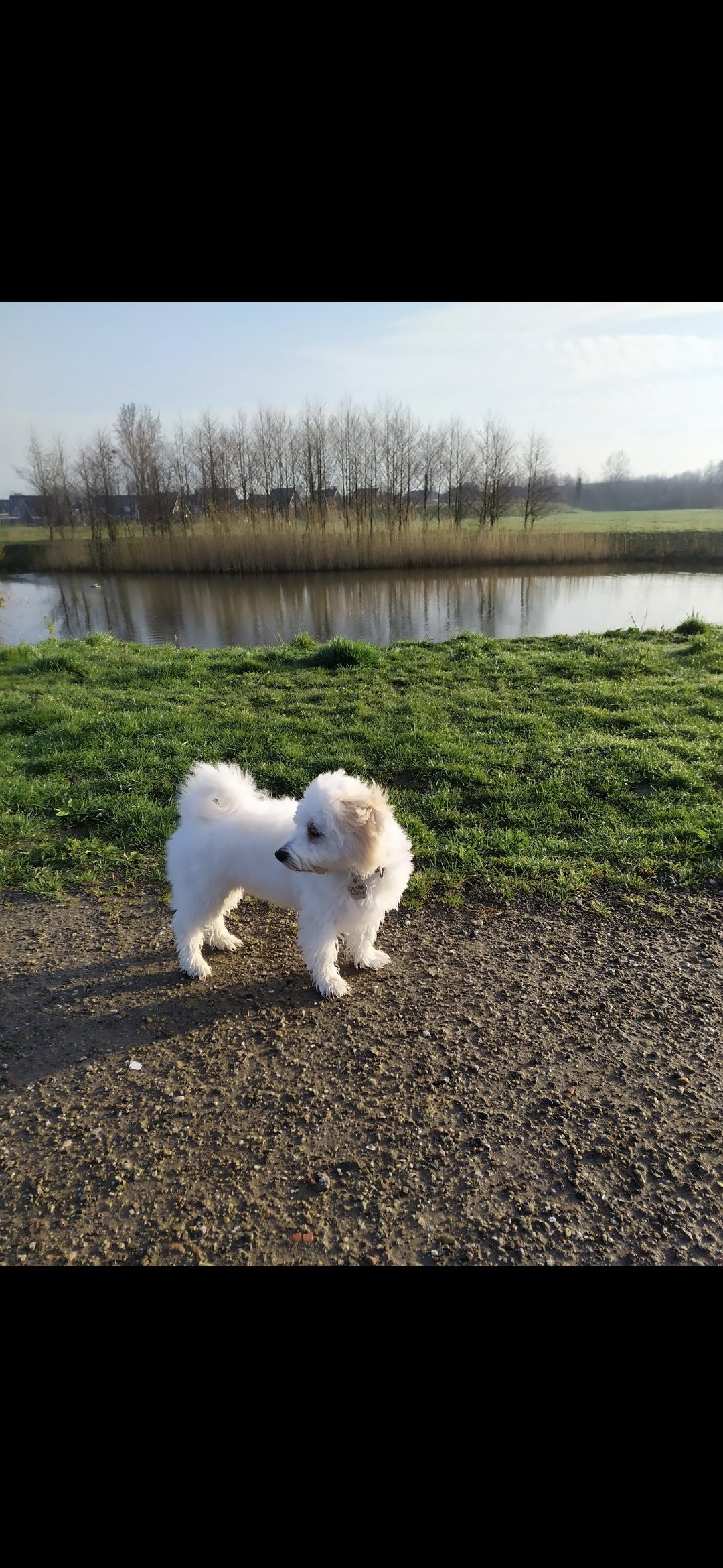 Elise, pet sitter in Benthuizen, photo 2