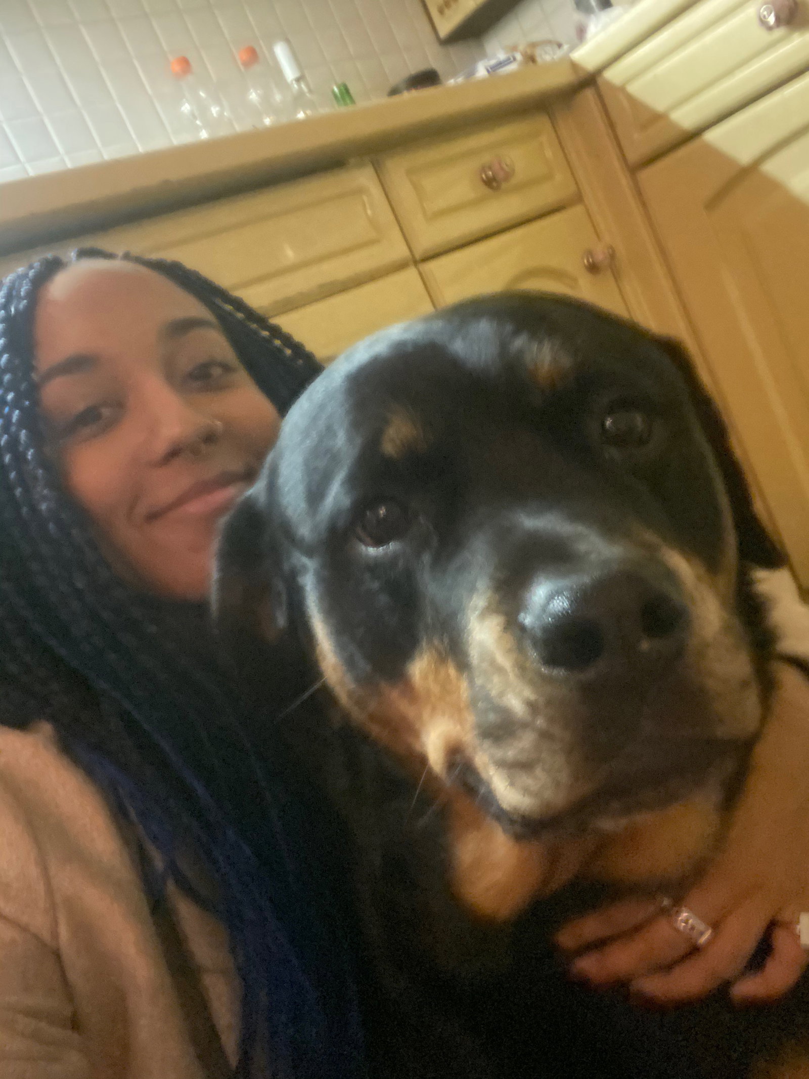 Gin, pet sitter in Leiden, photo 2