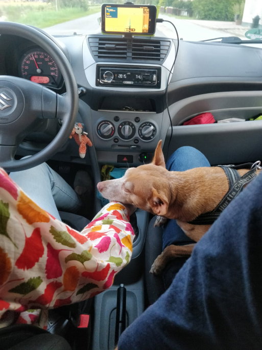 Thomas, pet sitter in 's-Gravenhage, photo 2