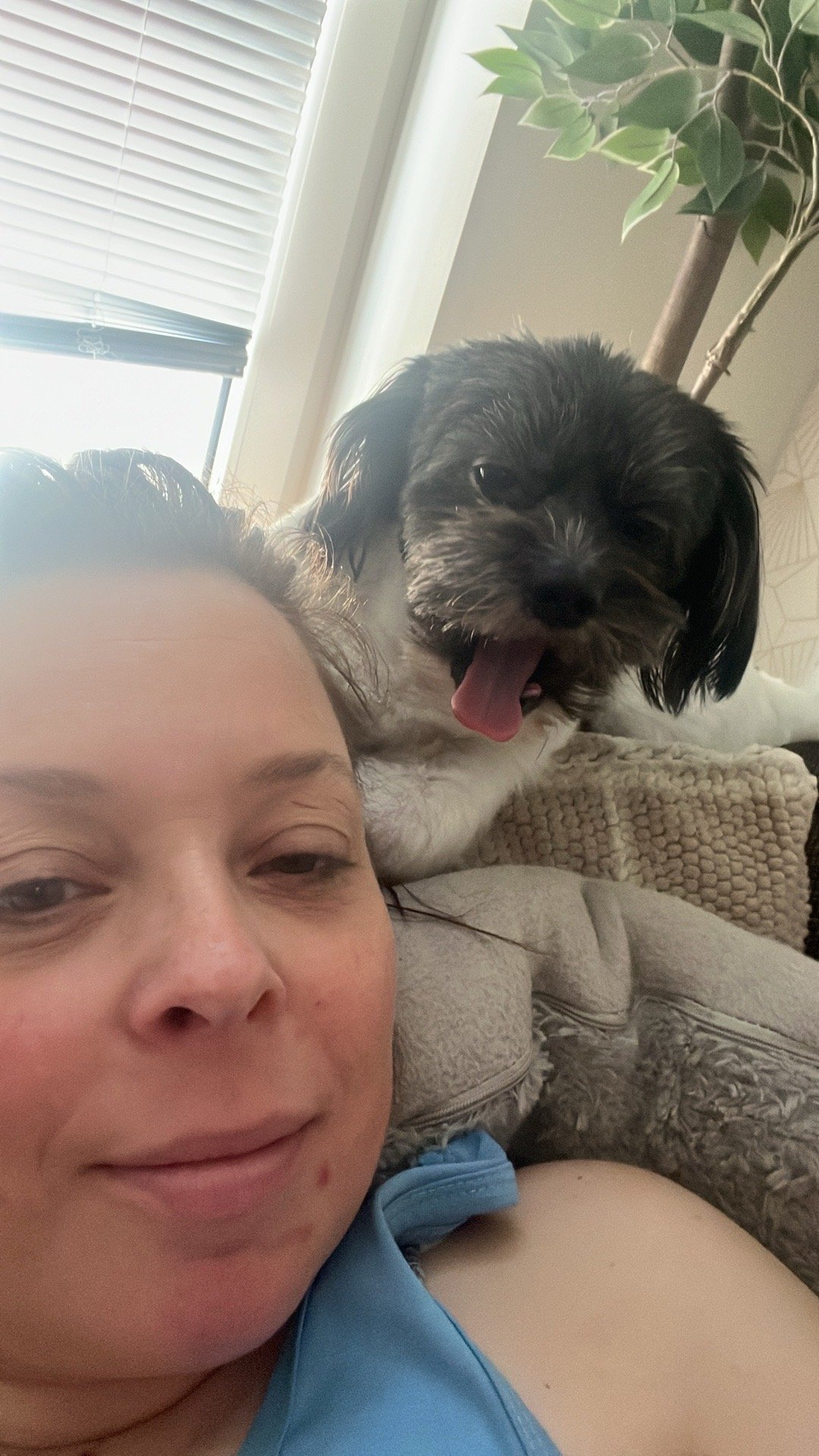 Edith, pet sitter in Amsterdam, photo 1