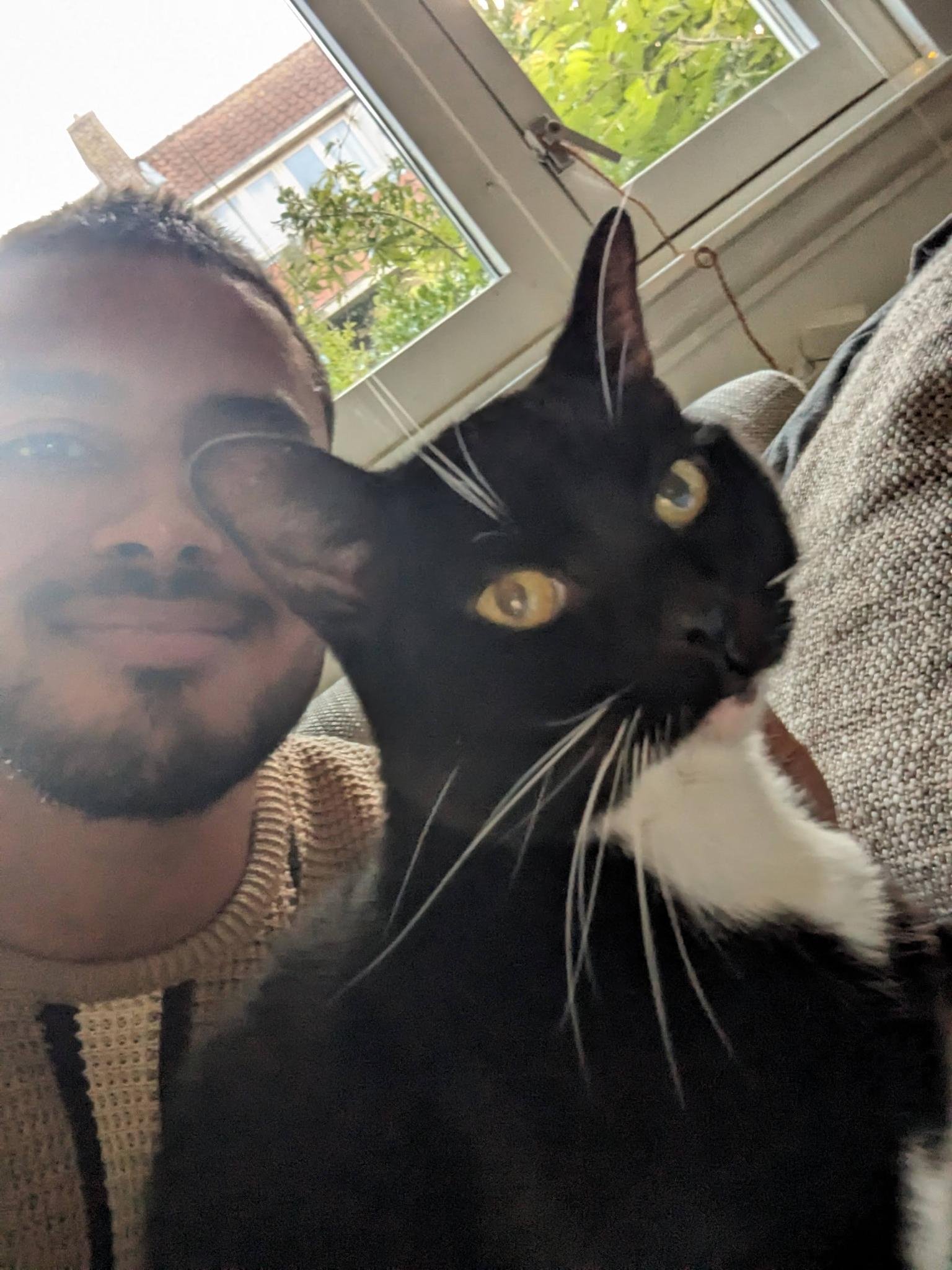 Charlie, pet sitter in Amsterdam, photo 1
