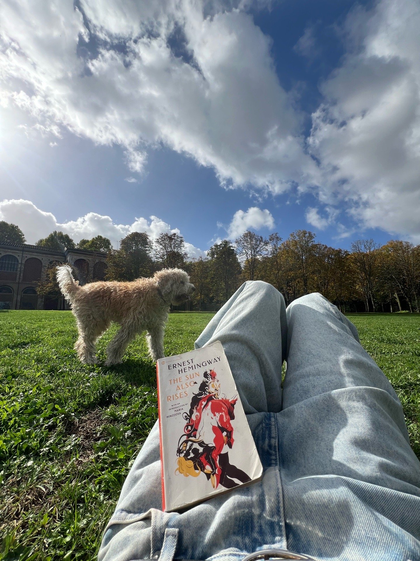 Asmar, pet sitter in Rotterdam, photo 5