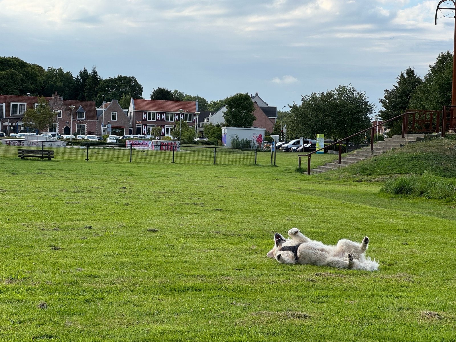 Meimei, pet sitter in Almere, photo 5
