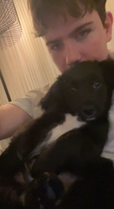 Levi, pet sitter in Amsterdam, photo 5