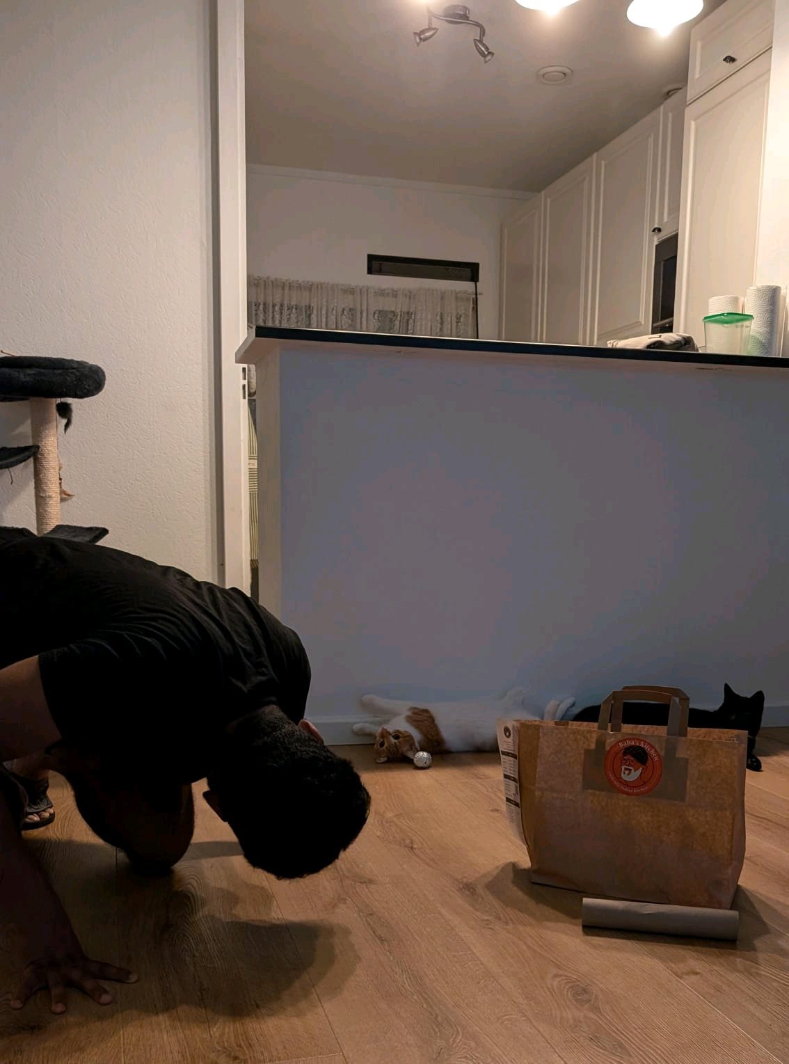 Neeraj Kumar, dierenoppas in Utrecht, foto 4