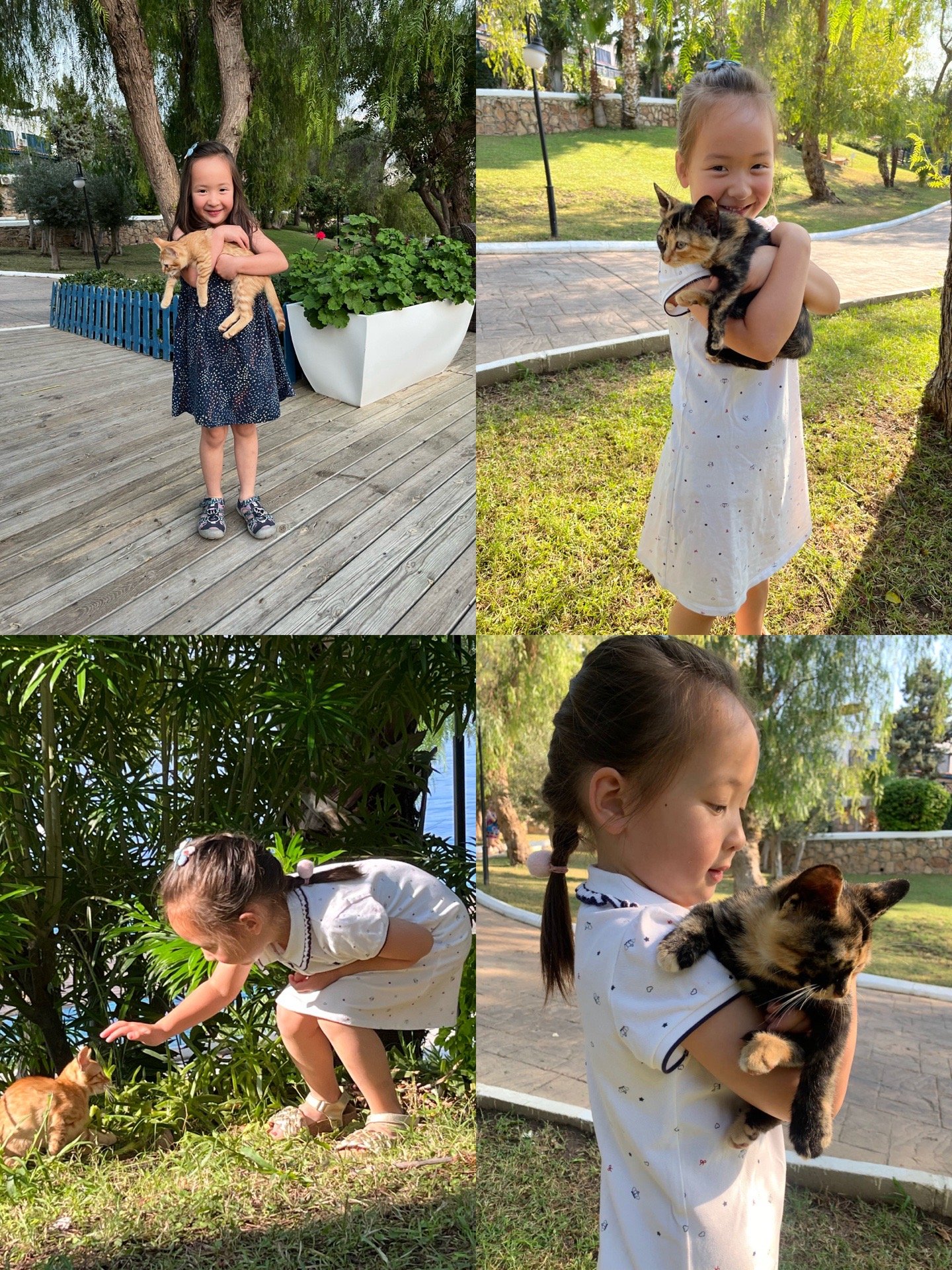 Zihan, pet sitter in 's-Gravenhage, photo 1