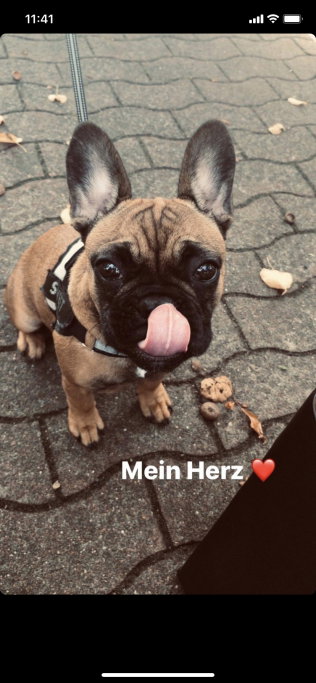 Canan, Tiersitter in Köln, Foto 4