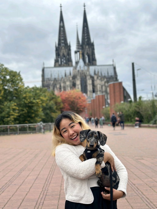 Sheen, Tiersitter in Köln, Foto 2