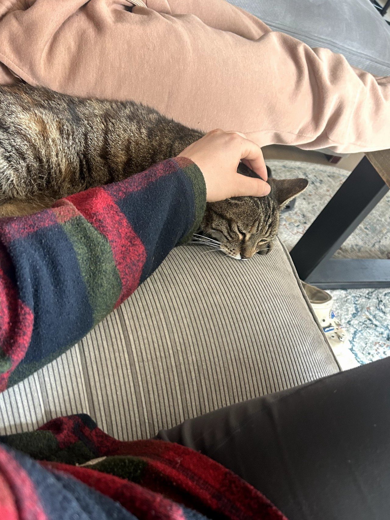 Kirsten, pet sitter in Amsterdam, photo 1