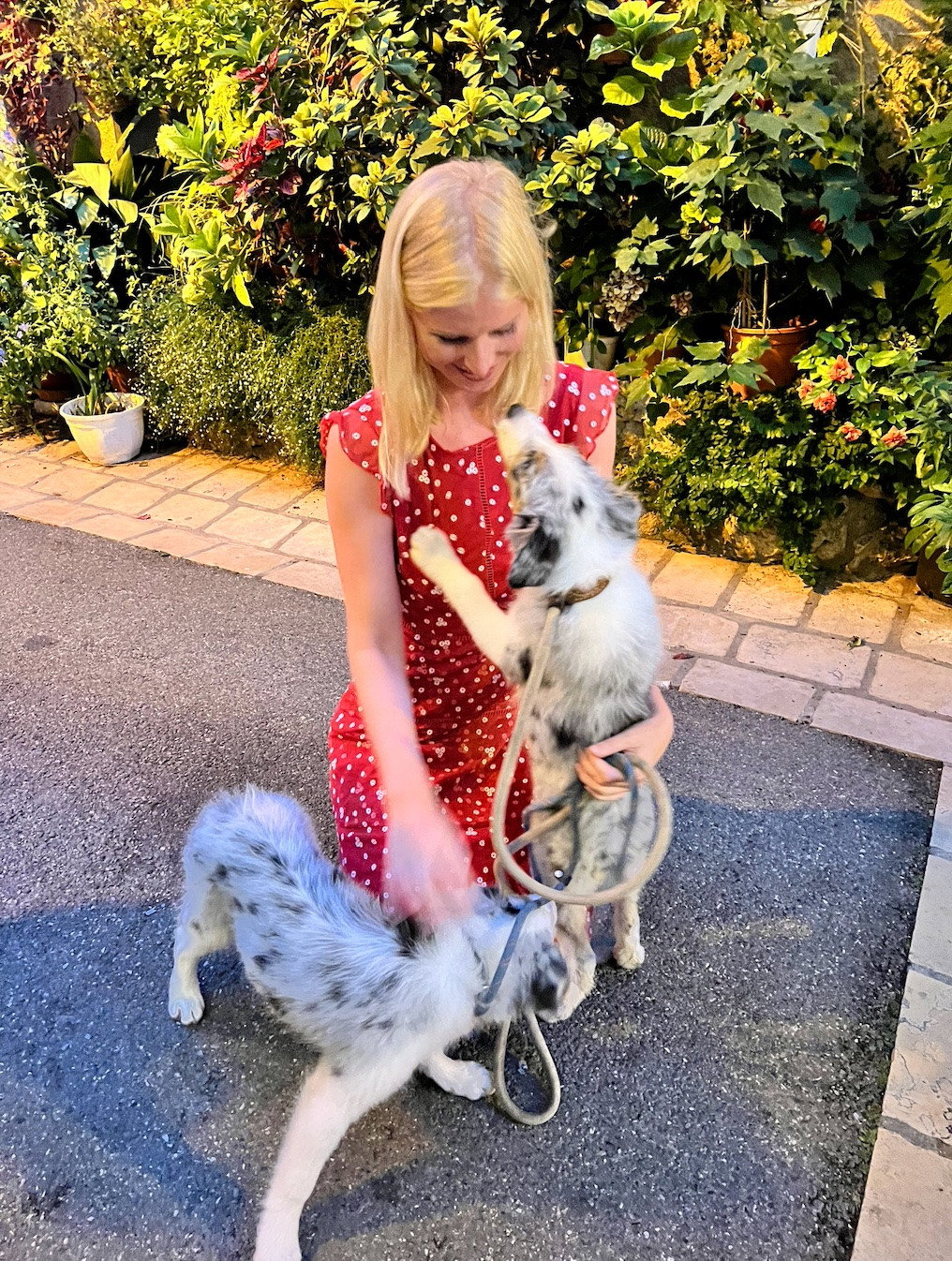 Daphne, pet sitter in Rotterdam, photo 2