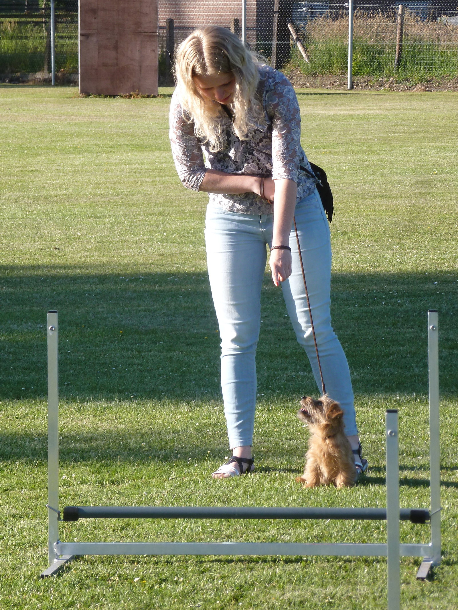 Joline, pet sitter in Deventer, photo 1