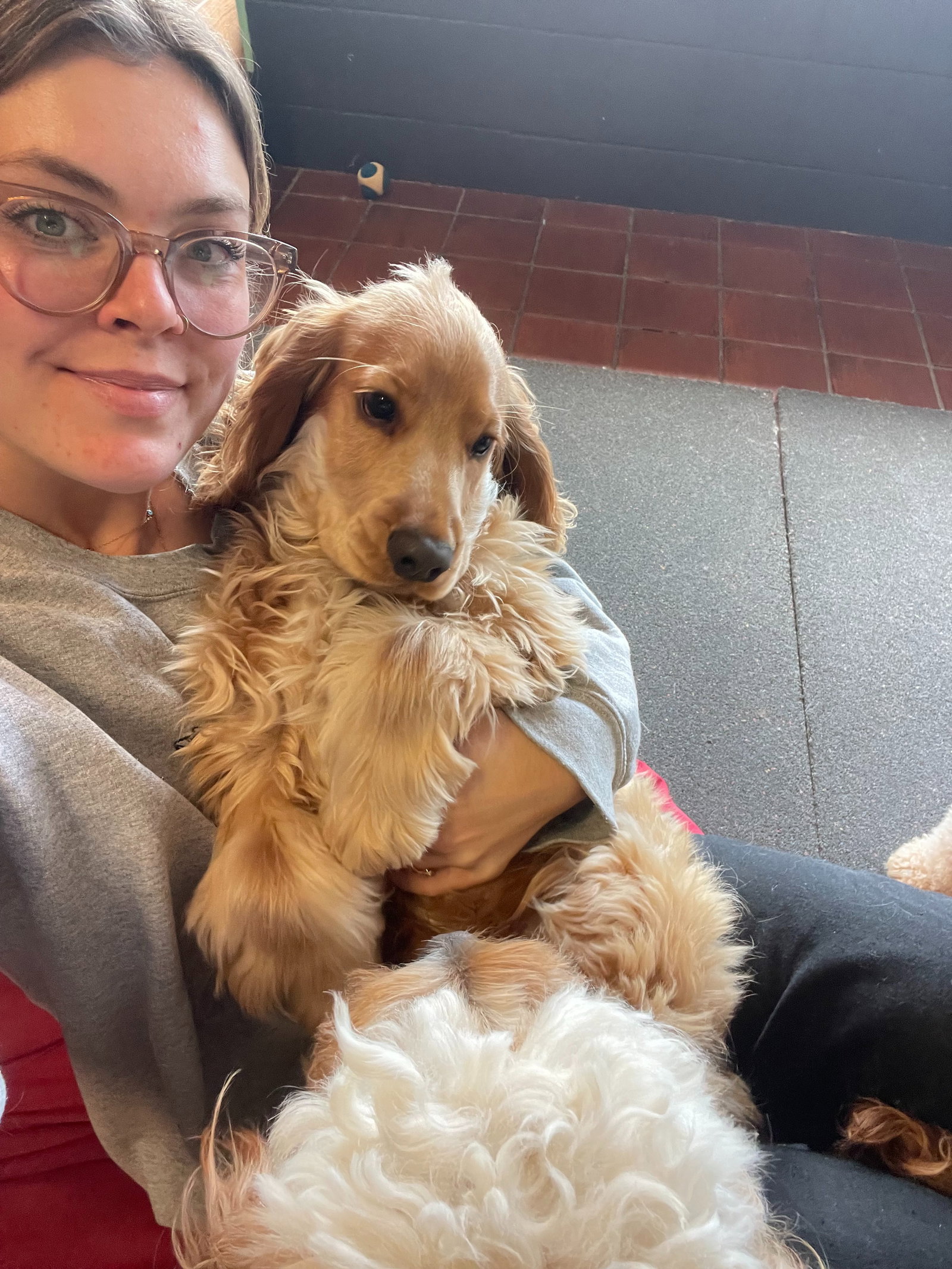 Rosie, pet sitter in Hürth, photo 5