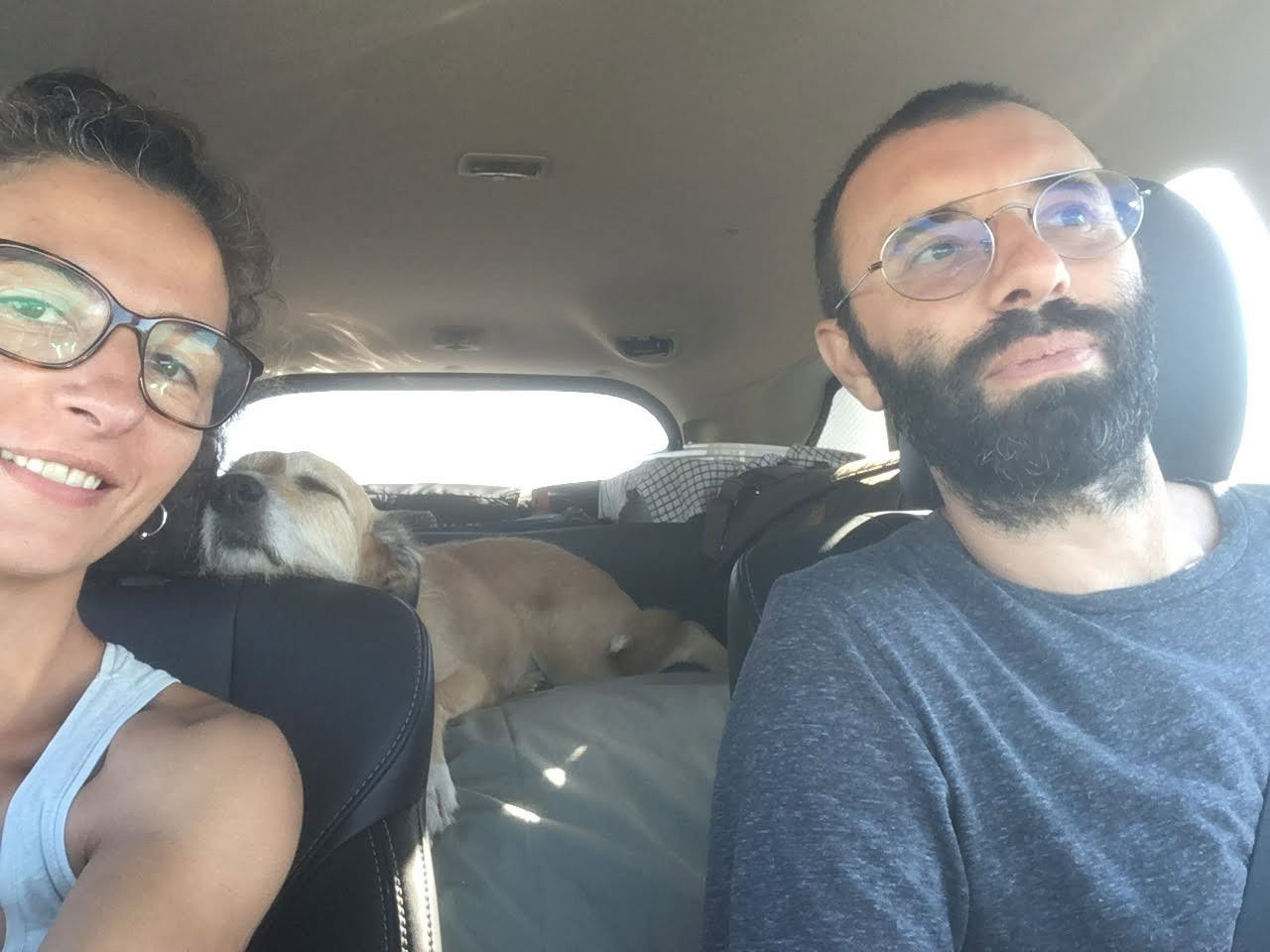 Pedro and Gi, pet sitter in Amsterdam, photo 1
