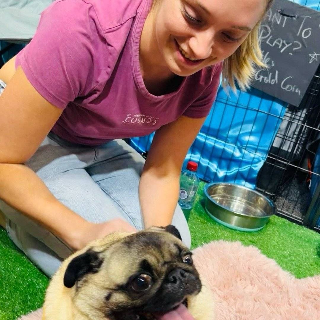 Simone, pet sitter in Helden, photo 4
