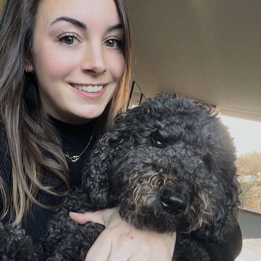 Gerlin, pet sitter in Den Haag, photo 4