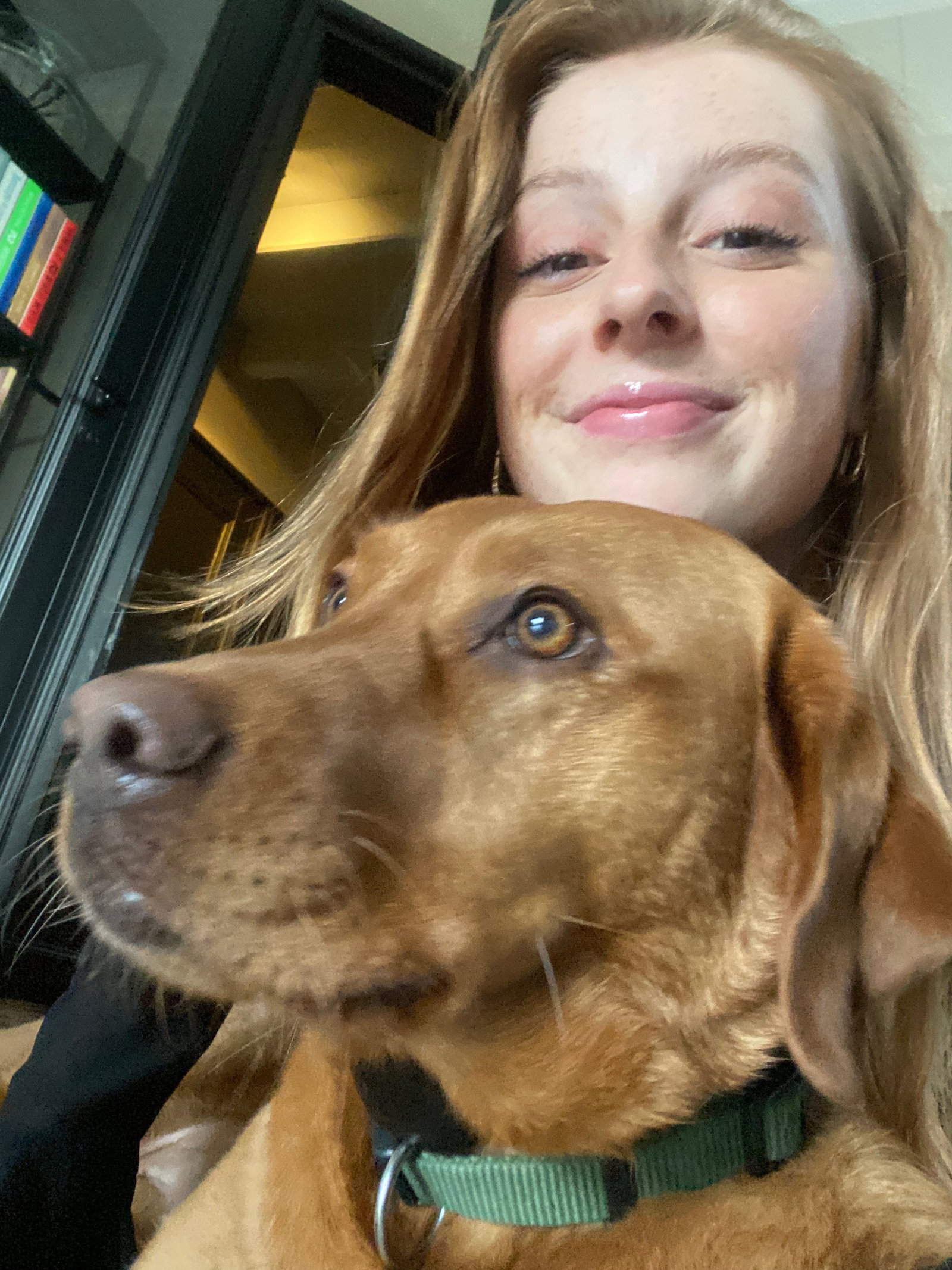 Merel, dierenoppas in Amsterdam, foto 5