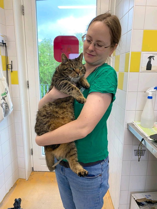 Natalia, pet sitter in Gouda, photo 5