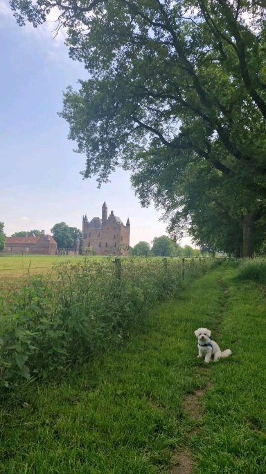 Romy, pet sitter in Nijmegen, photo 3