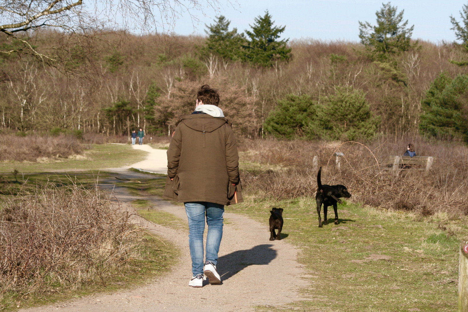Cleo, pet sitter in Amsterdam, photo 1