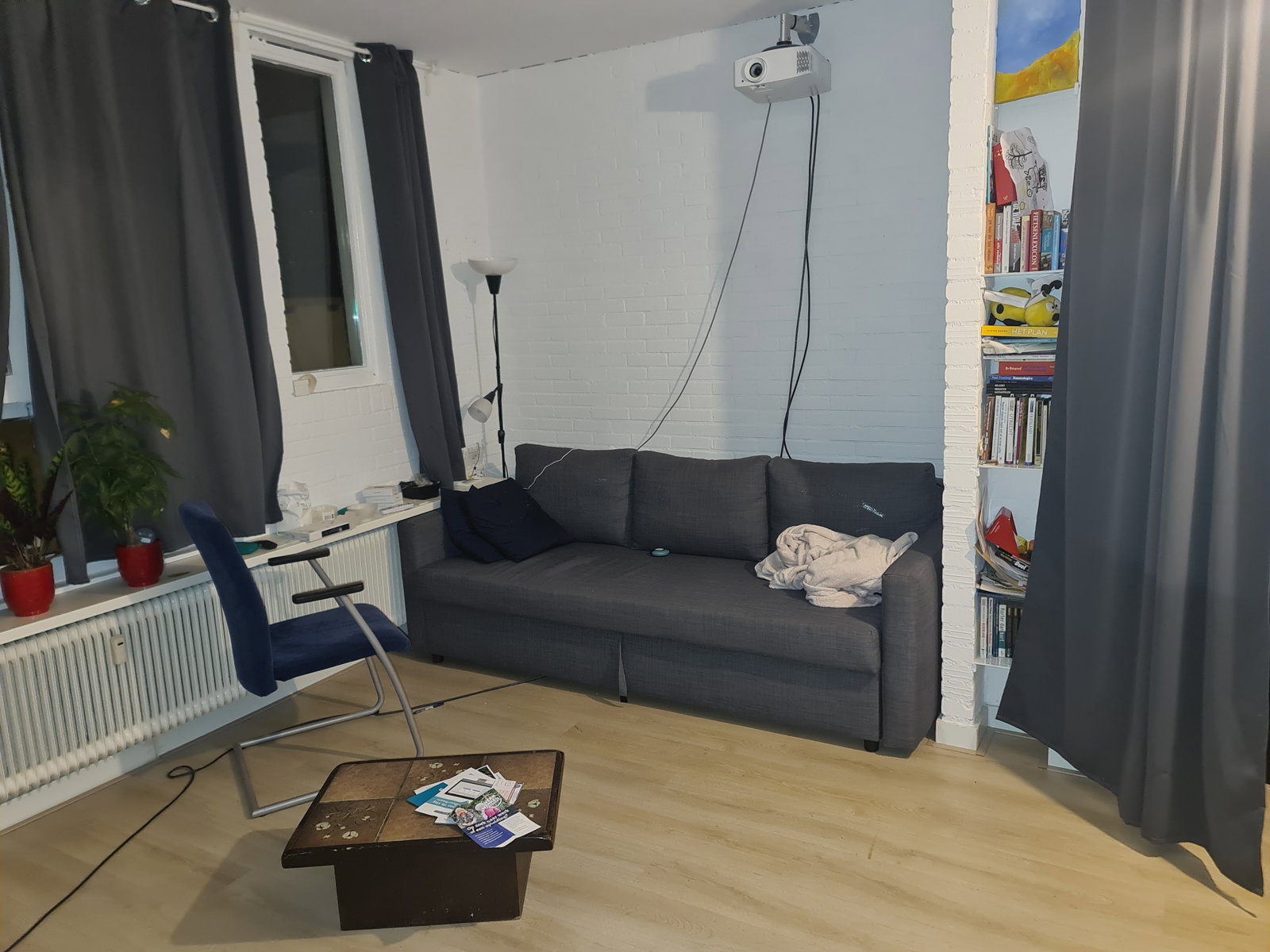 Leo, dierenoppas in Utrecht, foto 1