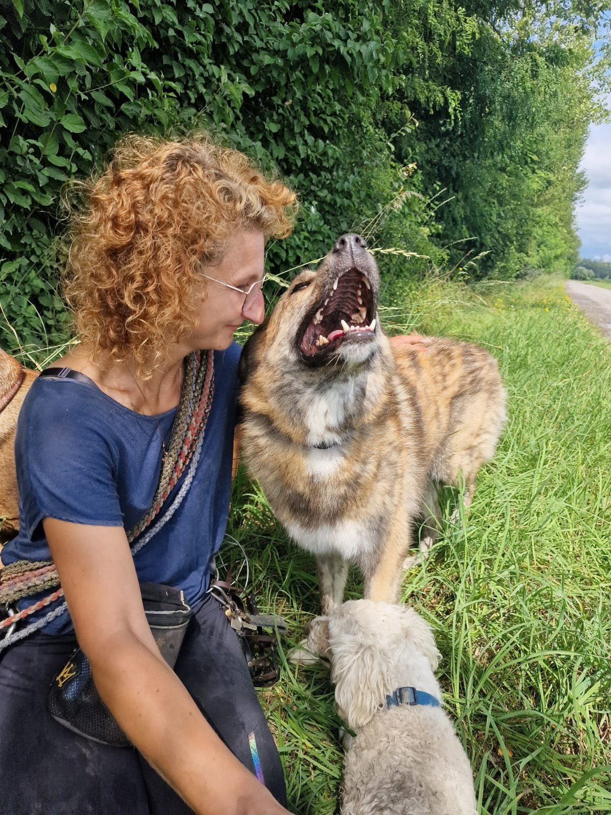 katrin, Tiersitter in Elsdorf, Foto 1