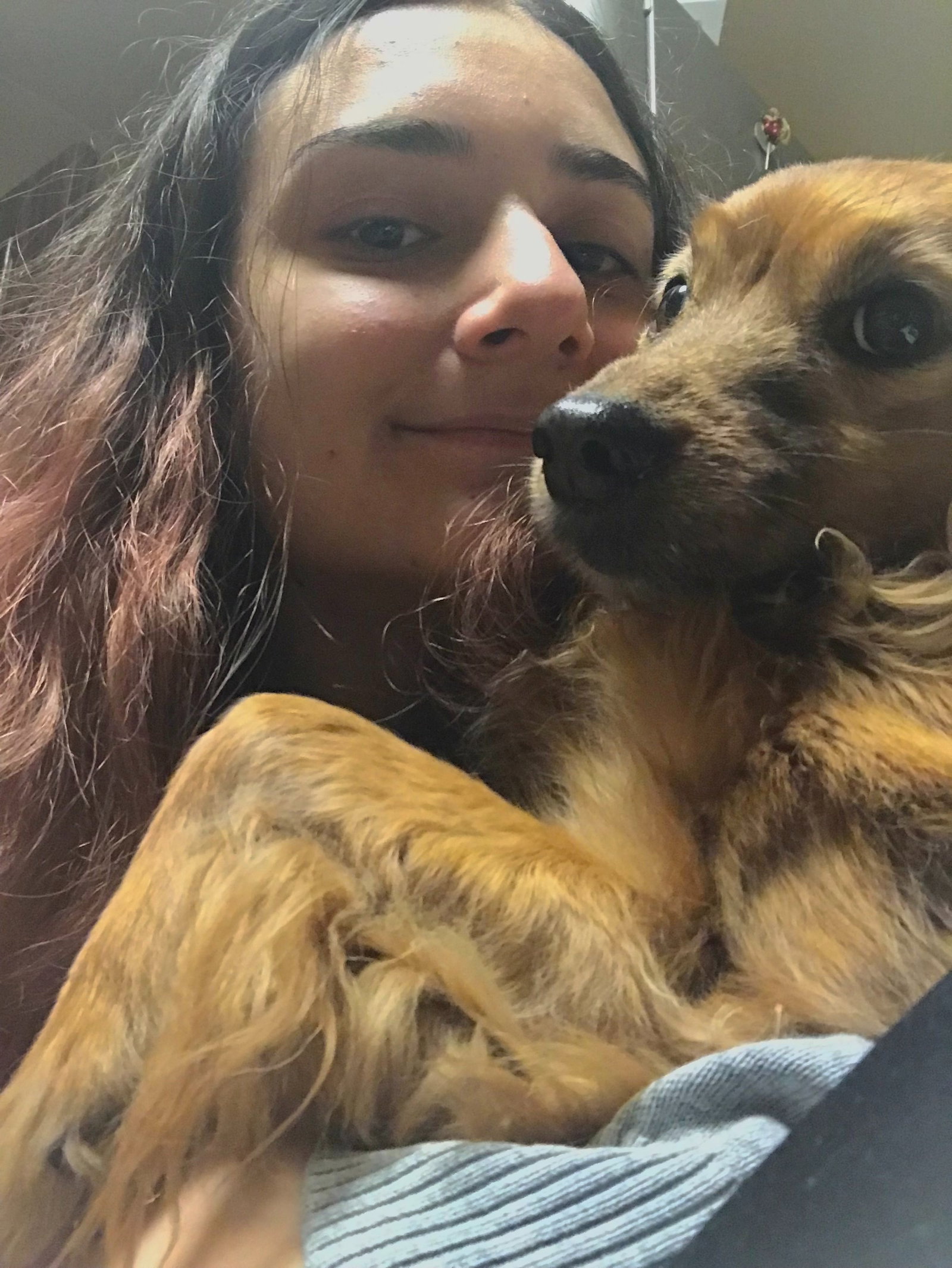 Luana, pet sitter in Maastricht, photo 3