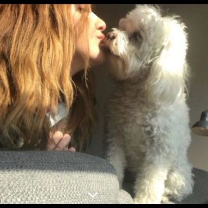 ceren, pet sitter in Amstelveen, photo 4