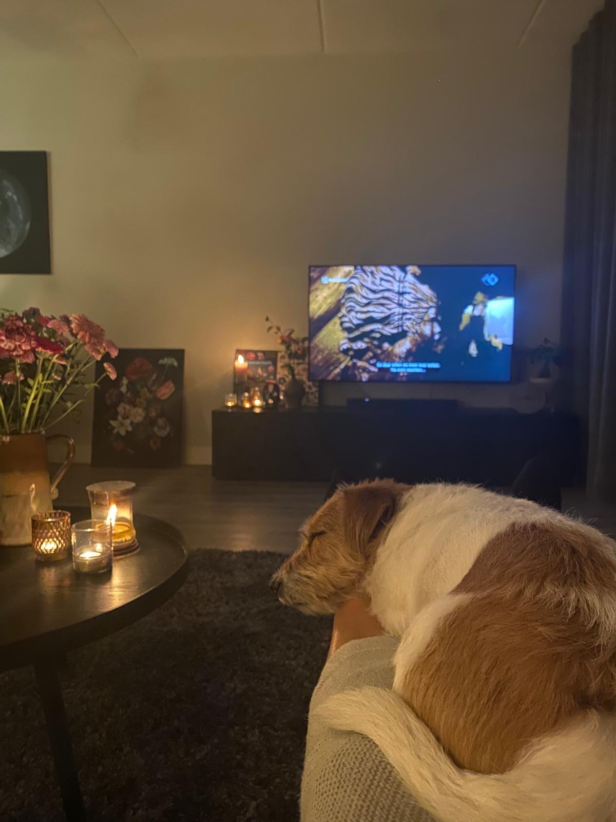 Anne-Kim, pet sitter in Rossum, photo 4