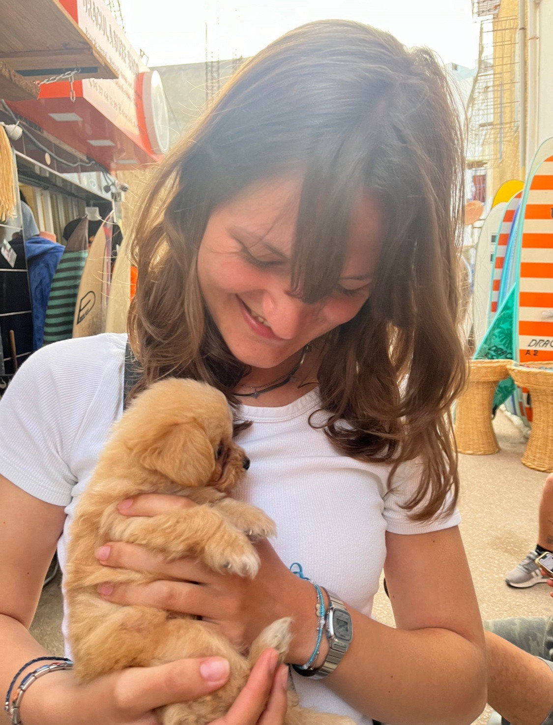 Eefje, pet sitter in Utrecht, photo 1