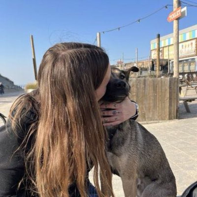 Shannon, pet sitter in hillegom, photo 5