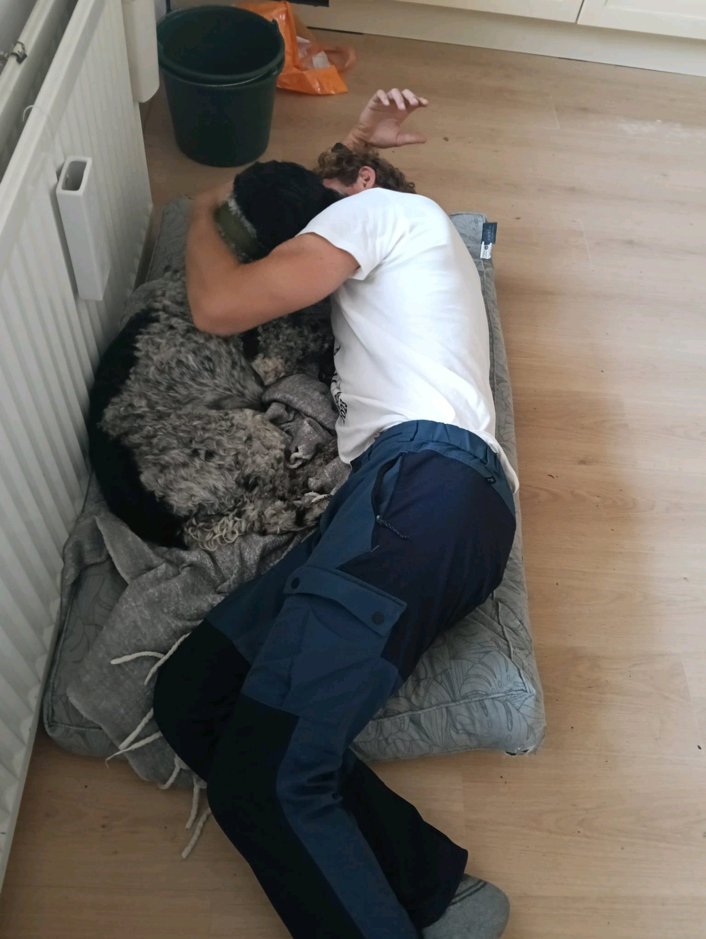 Remy, pet sitter in Velp, photo 2