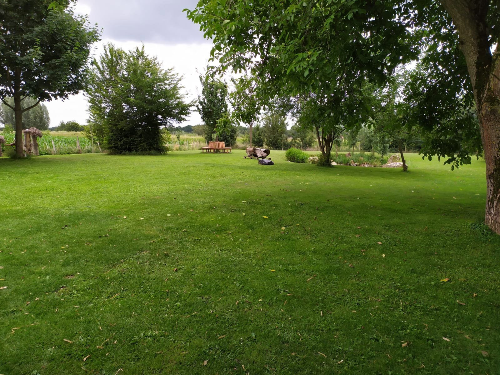 Edeltraud, pet sitter in Margraten, photo 3