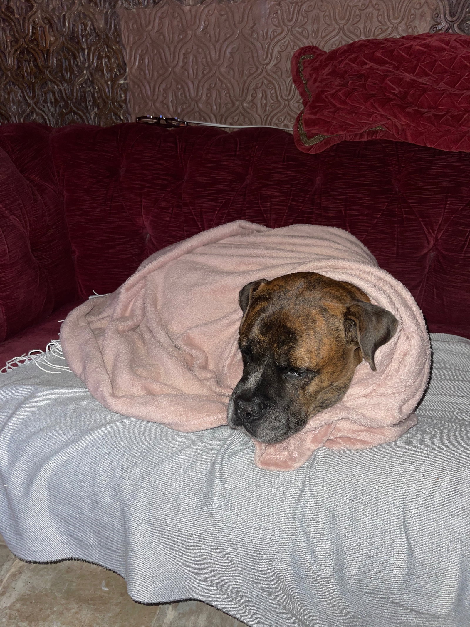 Nina, Tiersitter in Frankfurt am Main, Foto 2
