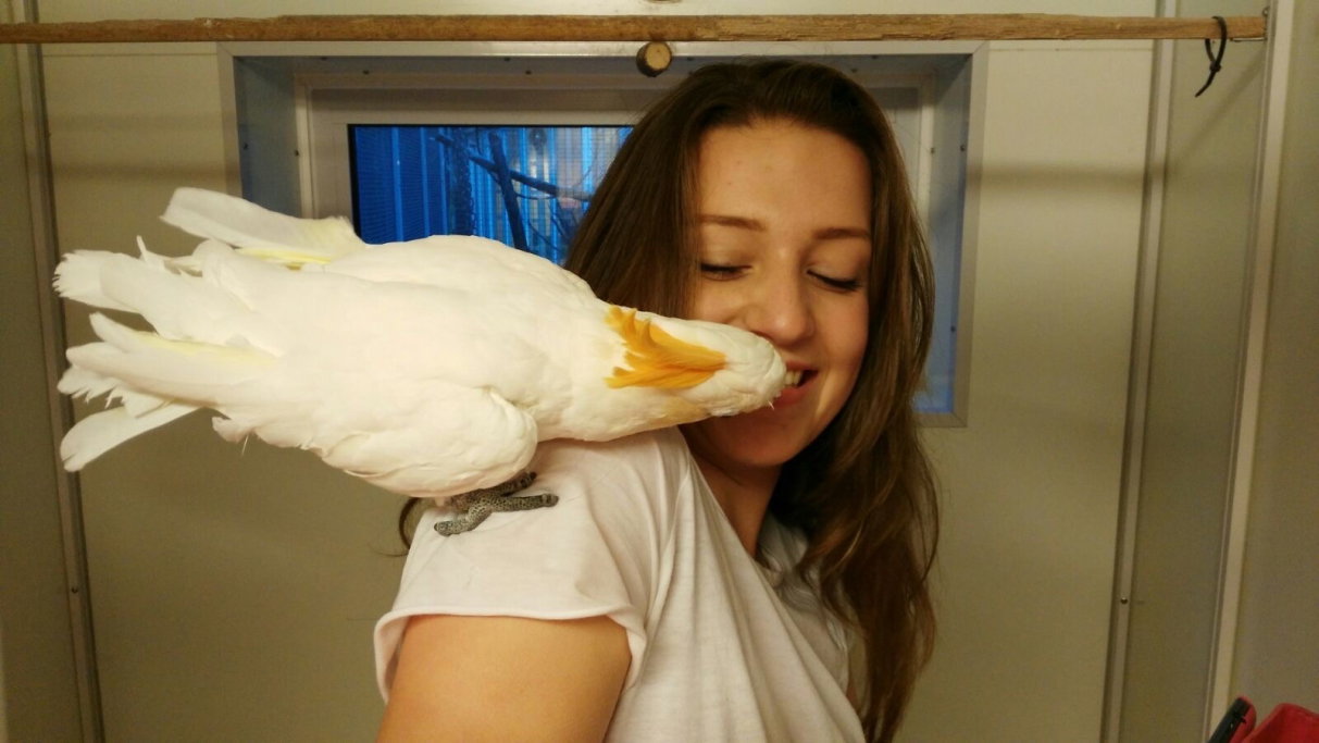 Nikki, pet sitter in Amsterdam, photo 1